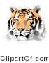 Big Cat Clipart of a Handsome Tiger Face by Djart