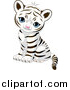 Big Cat Vector Clipart of a Cute Baby Tiger Cub Sitting and Looking Outwards by Pushkin