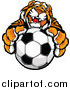 Big Cat Vector Clipart of a Friendly Tiger Mascot Holding up a Soccer Ball by Chromaco