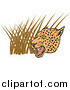 Big Cat Vector Clipart of a Growling Leopard over Grasses by Patrimonio