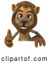 Big Cat Vector Clipart of a Lion Character Giving the Thumbs up and Standing Behind a Blank Sign While Smiling by Julos