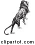 Big Cat Vector Clipart of a Majestic Lion Black and White by Picsburg