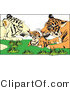 Big Cat Vector Clipart of Tiger Parents and Cub by Dennis Holmes Designs